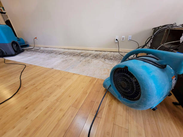 Professional Basement Flood Cleanup technician working in Blairstown, NJ